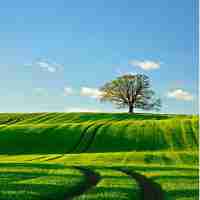 高​级‌网﻿页​压​缩‌平‌台​